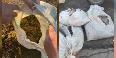 Colman Domingo and Jude Law at amfAR’s Venice Gala