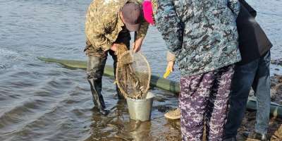 Colman Domingo and Jude Law at amfAR’s Venice Gala