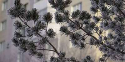 Colman Domingo and Jude Law at amfAR’s Venice Gala