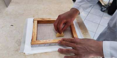 Colman Domingo and Jude Law at amfAR’s Venice Gala