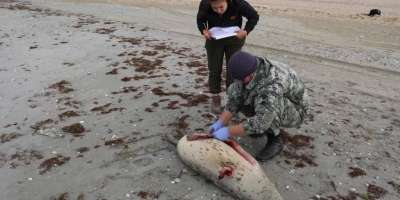 Colman Domingo and Jude Law at amfAR’s Venice Gala