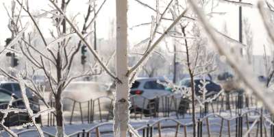 Colman Domingo and Jude Law at amfAR’s Venice Gala