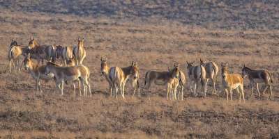 Colman Domingo and Jude Law at amfAR’s Venice Gala