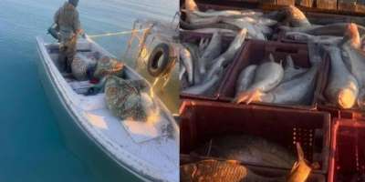 Colman Domingo and Jude Law at amfAR’s Venice Gala