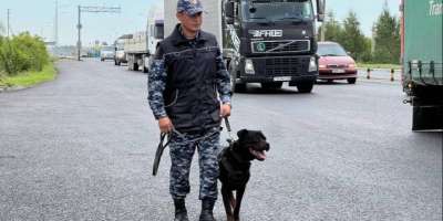 Colman Domingo and Jude Law at amfAR’s Venice Gala