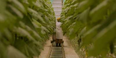 Colman Domingo and Jude Law at amfAR’s Venice Gala
