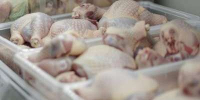 Colman Domingo and Jude Law at amfAR’s Venice Gala