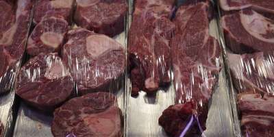 Colman Domingo and Jude Law at amfAR’s Venice Gala