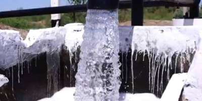 Colman Domingo and Jude Law at amfAR’s Venice Gala