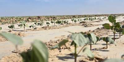 Colman Domingo and Jude Law at amfAR’s Venice Gala