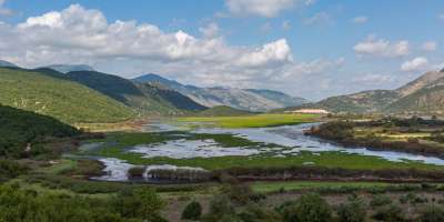 Colman Domingo and Jude Law at amfAR’s Venice Gala