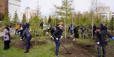 «Таза Қазақстан» бағдарламасы аясында 18 млн-нан астам ағаш отырғызылды