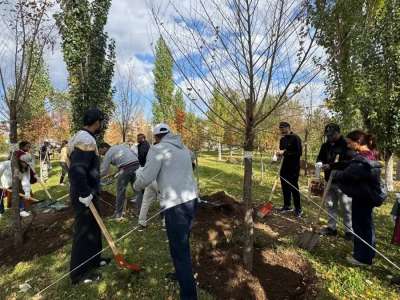 Астананың Байқоңыр ауданында 150-ден астам ағаш отырғызылды
