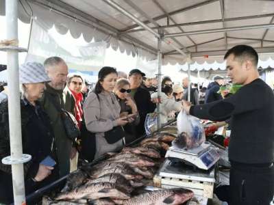 Астанада күзгі ауылшаруашылық жәрмеңкелері  жалғасып жатыр