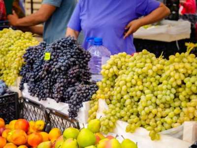 Астанадағы жәрмеңкеге Түркістан облысының шаруалары 600 тоннадан астам өнім әкелді