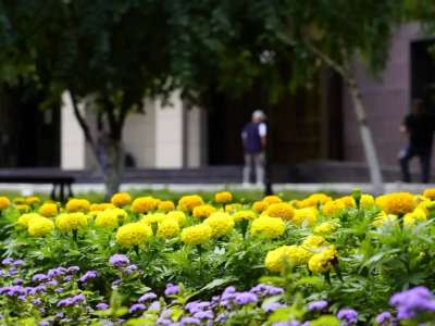 Астанада Конституция күні қарсаңында жаңа гүлзар ашылды