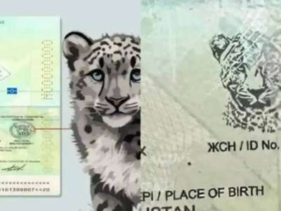 Қазақстанда барыс бейнесі бар жаңа қорғаныш элементі енгізілген паспорттар беріліп жатыр