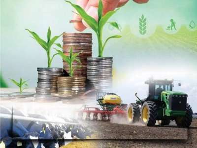 Елімізде ауыл шаруашылығы өнімінің көлемі 4%-ға өсті
