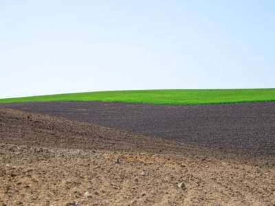 Мемлекет меншігіне 13,7 млн гектар жер қайтарылды