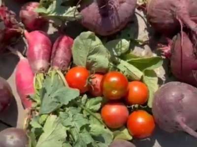 «Таза Қазақстан»: елордада мектеп жанынан экологиялық бақ ашылды