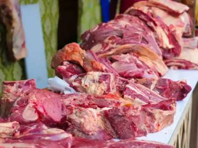 «Ешқандай күмән болмауы керек»: экология министрі киік етінің сапасы туралы айтты