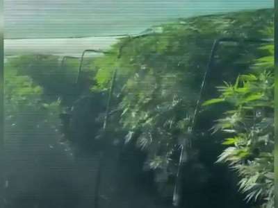 Елімізде үш ай ішінде 9 есірткі зертханасы жойылды