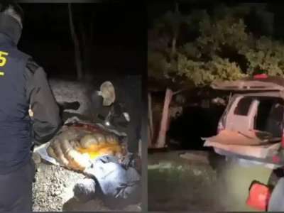 Ақтөбе облысында полицейлер мал ұрлығына күдіктілерді қылмыс үстінде ұстады