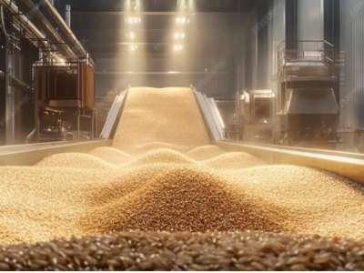 Қостанай облысында 34 астық қабылдау кәсіпорны мен қоймалары дайындалды