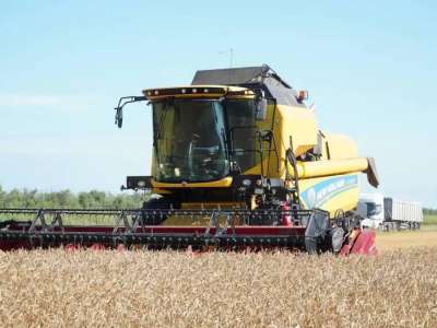 Ақмола облысының екі ауданында күздік дақылдарды жинау аяқталды