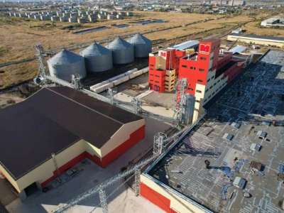 Елімізде майлы дақылдар өңделетін зауыт пайдалануға беріледі