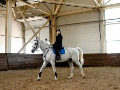 Елордалық спортшылар конкурдан халықаралық жарыста 33 медаль жеңіп алды