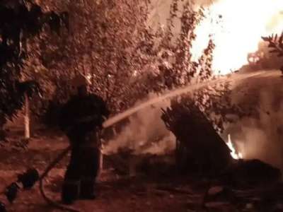 30 тонна шөп өртеніп кетті: ТЖМ шұғыл мәлімдеме жасады