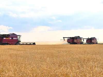 Елімізде 1,2 млн тонна астық бастырылды – АШМ