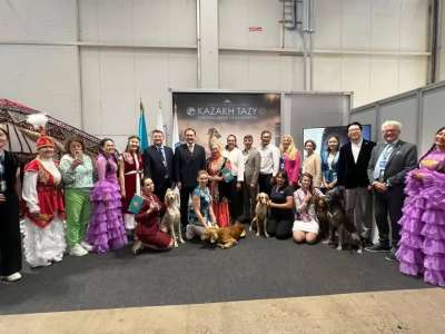Қазақ тазысы алғаш рет Дүниежүзілік иттер көрмесінде таныстырылды