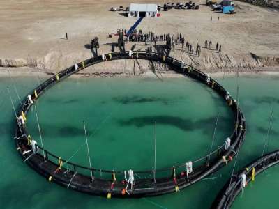 Каспий теңізінде Орталық Азиядағы алғашқы теңіз аквашаруашылық жобасы іске қосылды