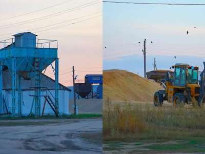 Қостанай облысында полицейлер 54 тонна бидай ұрлығын әшкереледі