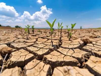 Жаздың соңында оңтүстік өңірлерде құрғақшылық болуы мүмкін