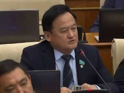 Сенат санаттан кетеді – Қазыбек Иса