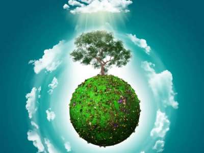 Түркістан облысында полигондардың 70%-ы экологиялық талапқа сай емес