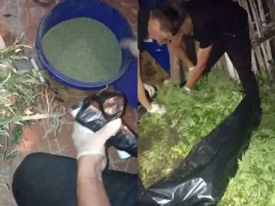 Ақтөбеде ауыл тұрғынынан 56 келі марихуана тәркіленді