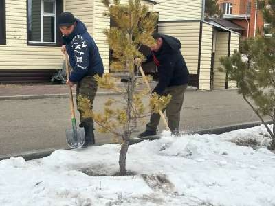 «Қамқор» әлеуметтік қызмет көрсету орталығы «20 игі іс» акциясына қатысты
