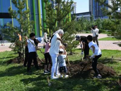 Елімізде республикалық «Отбасы ағашы» акциясы өтті