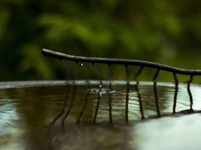 Елімізде Су ресурстарын реттеу, қорғау және пайдалану комитеті құрылды