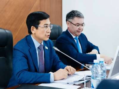 Мәжіліс комитетінің отырысында ана мен бала өлімін азайту мәселесі талқыланды