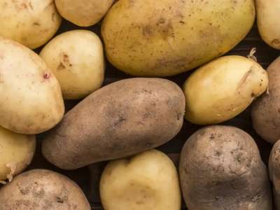 Картоп бағасын негізсіз көтергендерге айыппұл салынды