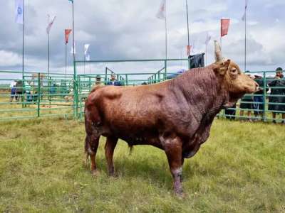 Елімізде Jańa Dala-Green Day‘2025 мамандандырылған көрме-көрсетілімі өтеді