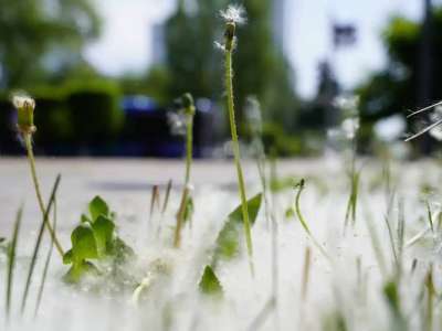Қазақстанның бірқатар қаласында 44 градус ыстық болады