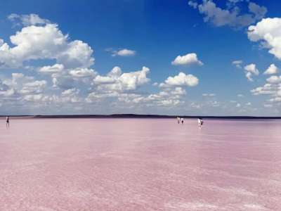 Ақмола облысындағы Көбейтұз көлін полиция қайта бақылауға алды