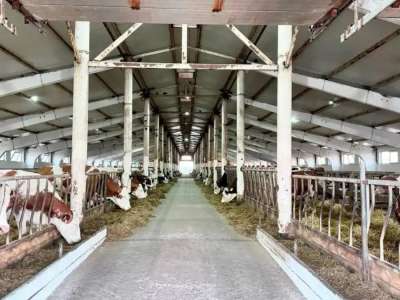 Қазақстанда шаруалар үшін жеңілдікпен несие беру іске қосылады