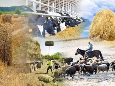 1 тамызда елімізде ұлттық ауыл шаруашылығы санағы басталады